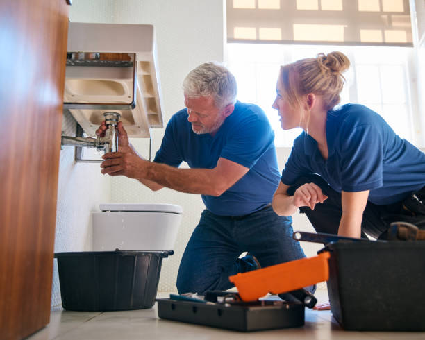 Best Clogged Drain Plumber  in Dunlap, IA